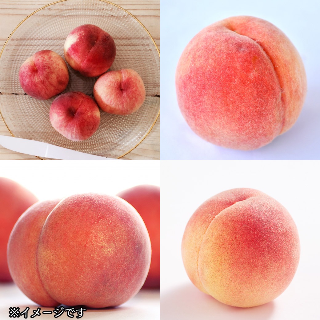 予約販売）【送料込】限定100セットのスペシャル産直！『福島県国見町