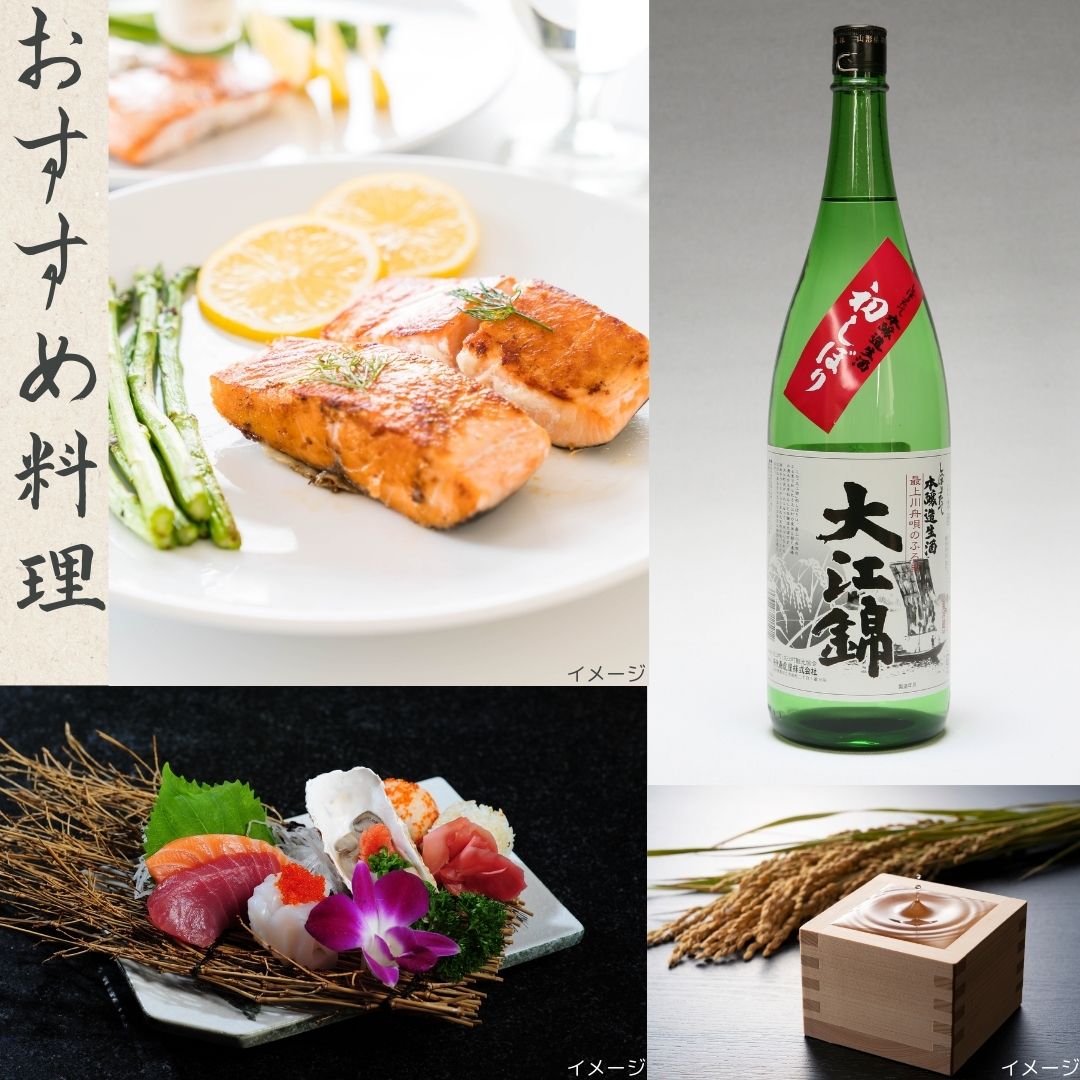 【予約販売】<初しぼり>山形県大江町 大江錦 1升(1.8L) 12月20日以降お届け