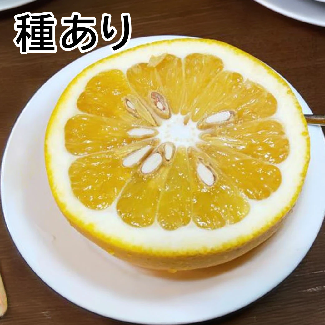 【送料込】果汁たっぷり！程よい酸味がうれしい愛媛県愛南町からお届け『河内晩柑･愛南ゴールド5kg』（中玉14～16玉）ご家庭用・訳あり品