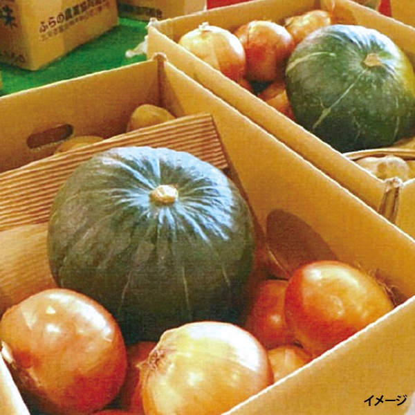 【送料込みでこの価格！】北海道名寄産 じゃがたまかぼちゃセット：じゃがいも（Lサイズ・約3kg）＋玉ねぎ（Lサイズ・約3kg）＋かぼちゃ（1玉・約1.5kg）