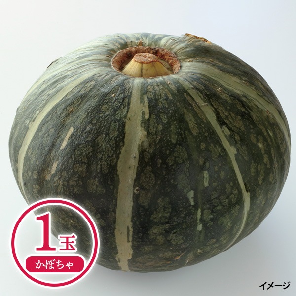 【送料込みでこの価格！】北海道名寄産 じゃがたまかぼちゃセット：じゃがいも（Lサイズ・約3kg）＋玉ねぎ（Lサイズ・約3kg）＋かぼちゃ（1玉・約1.5kg）