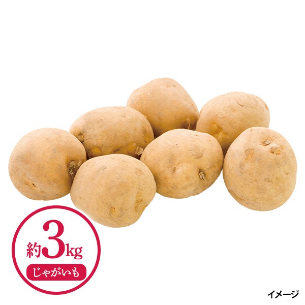 【送料込みでこの価格！】北海道名寄産 じゃがたまかぼちゃセット：じゃがいも（Lサイズ・約3kg）＋玉ねぎ（Lサイズ・約3kg）＋かぼちゃ（1玉・約1.5kg）