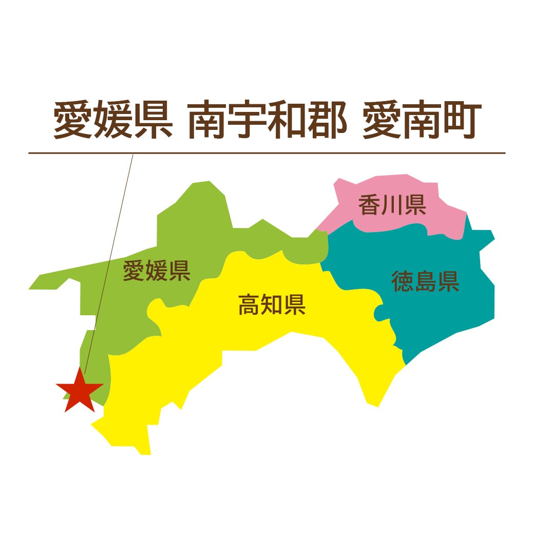 【送料込】果汁たっぷり！程よい酸味がうれしい愛媛県愛南町からお届け『河内晩柑･愛南ゴールド10kg』（中玉28～32玉）ご家庭用・訳あり品