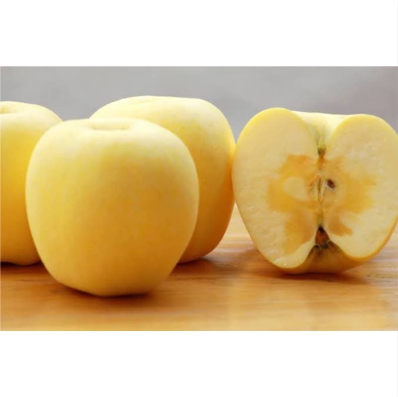 山形県から希少りんごをお届け！「蜜入り 大江はるかリンゴ」約2.5kg(6