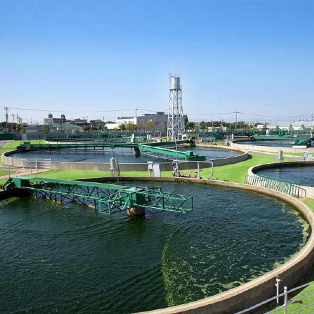 【送料込】「KAKERU MIDORI（かけるみどり）」1袋（20食分）～❝腸活サポート❞葉緑素×食物繊維×60種類以上の栄養素！