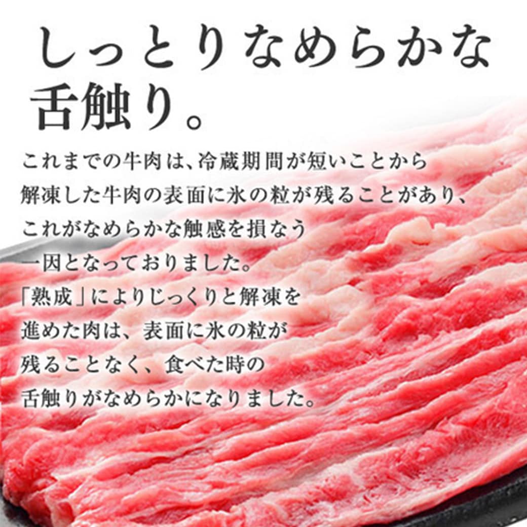 準備中)お手軽・便利・うまい！みんな大好き「吉野家牛丼」の具（冷凍・並盛　120gx20袋が＋2袋増量中！)