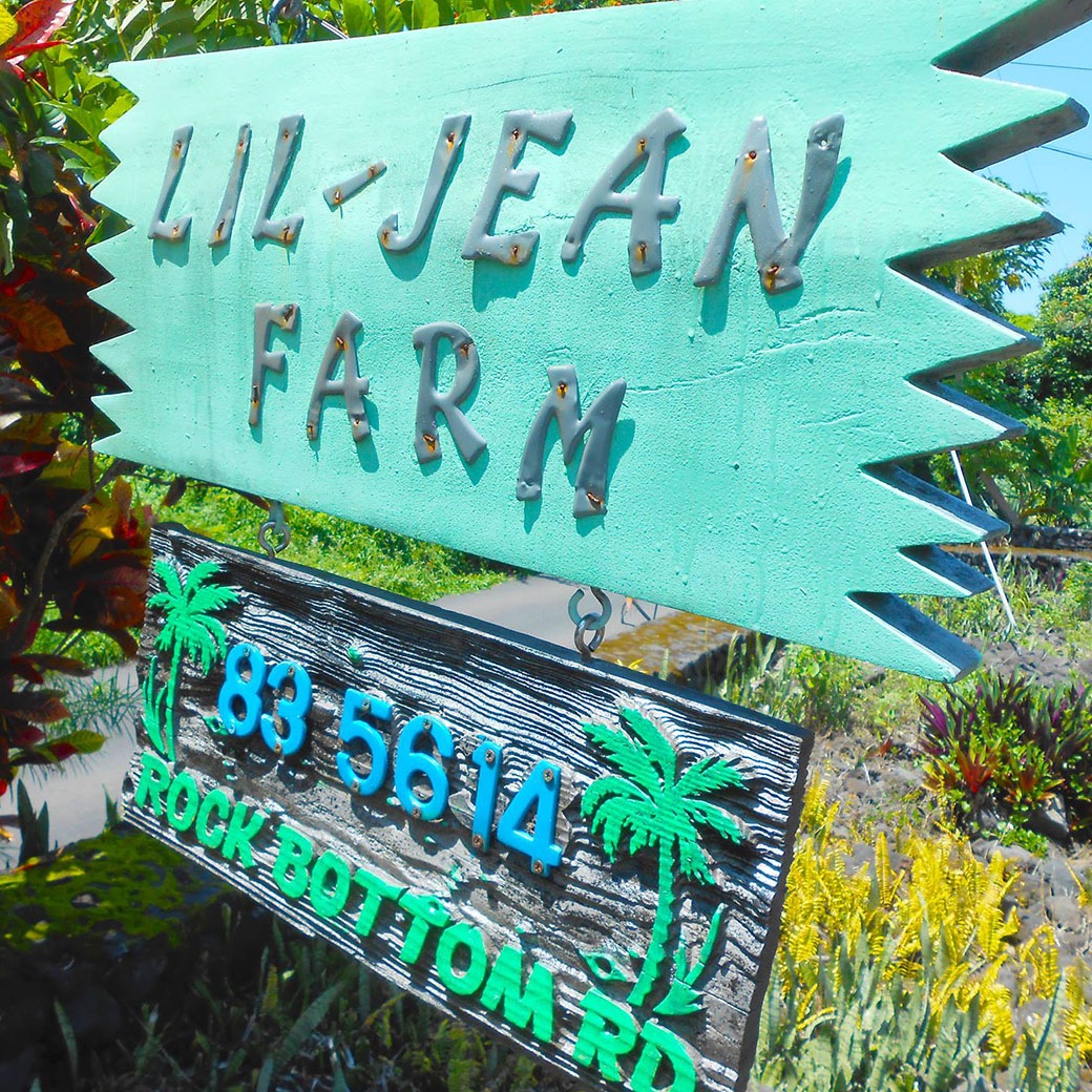 リルジーンファーム ハワイ100％コナコーヒードリップ （専用箱5袋入り）2箱～5箱 セット