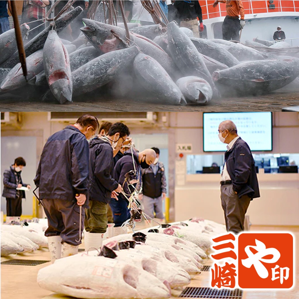 【送料込】『中トロ入り4種のマグロ食べつくしセット』赤身サク（180g）+中トロサク（180g）+メカジキ照焼(150ｇ)+メカジキ味噌漬（150ｇ）
