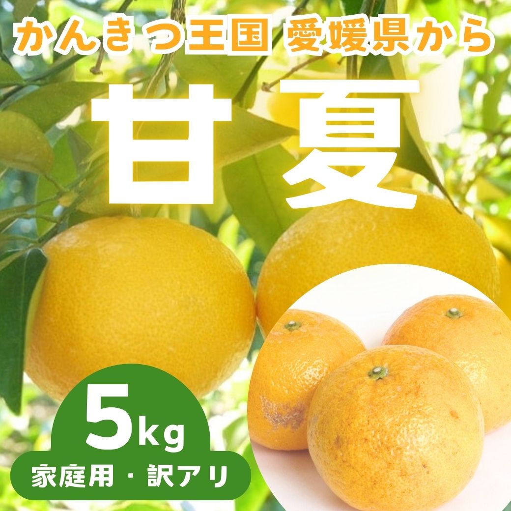 【送料込】愛媛県愛南町 農園から直送!『甘夏』ご家庭用・訳あり品 5kg (サイズ不揃い)