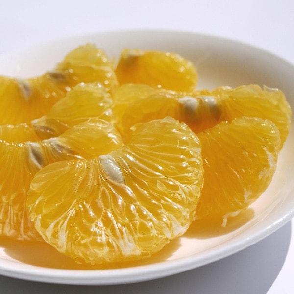 【送料込】愛媛県愛南町 農園から直送!『甘夏』ご家庭用・訳あり品 5kg (サイズ不揃い)