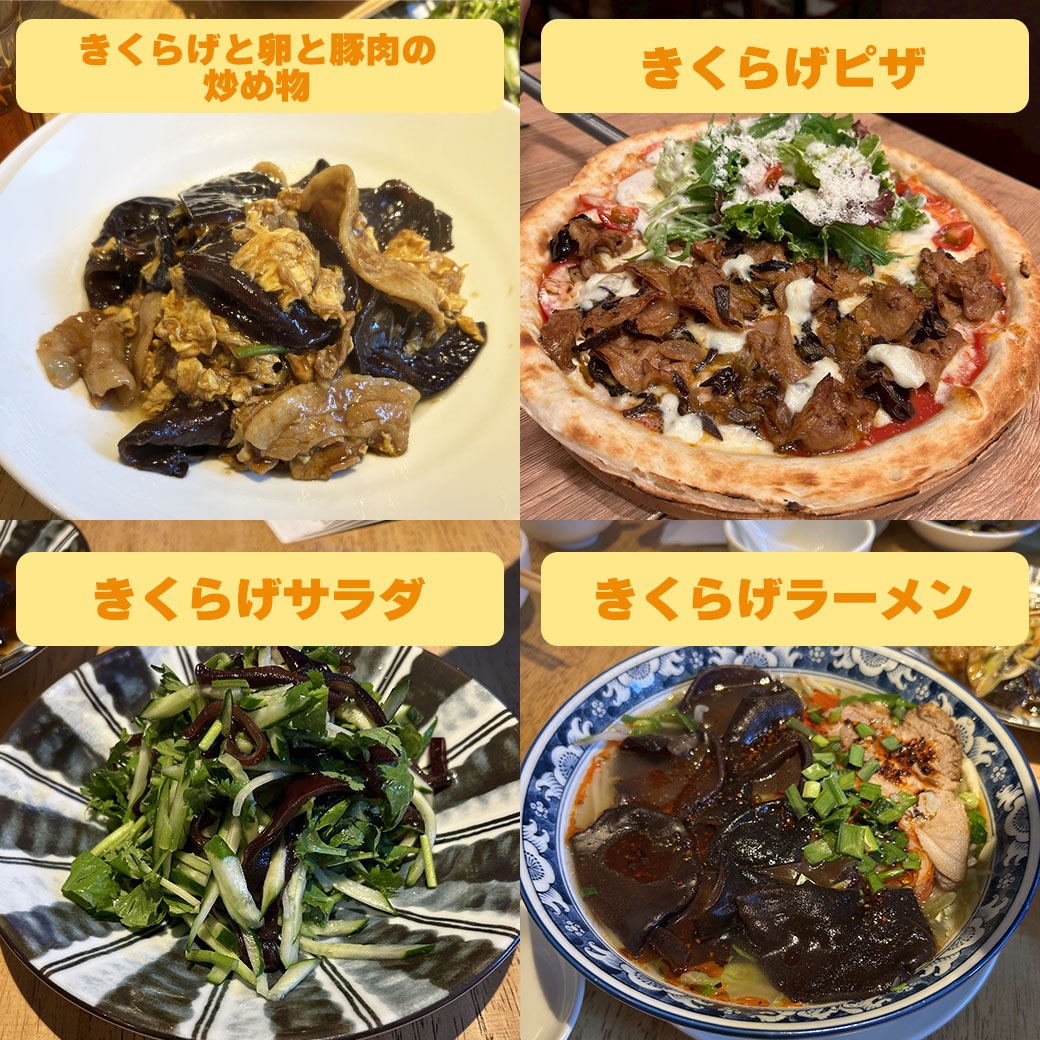 新登場！【送料込】『彩のきくらげ オリジナルセット』（生きくらげ×１・乾燥きくらげ×２・きくらげ加工品×１種）