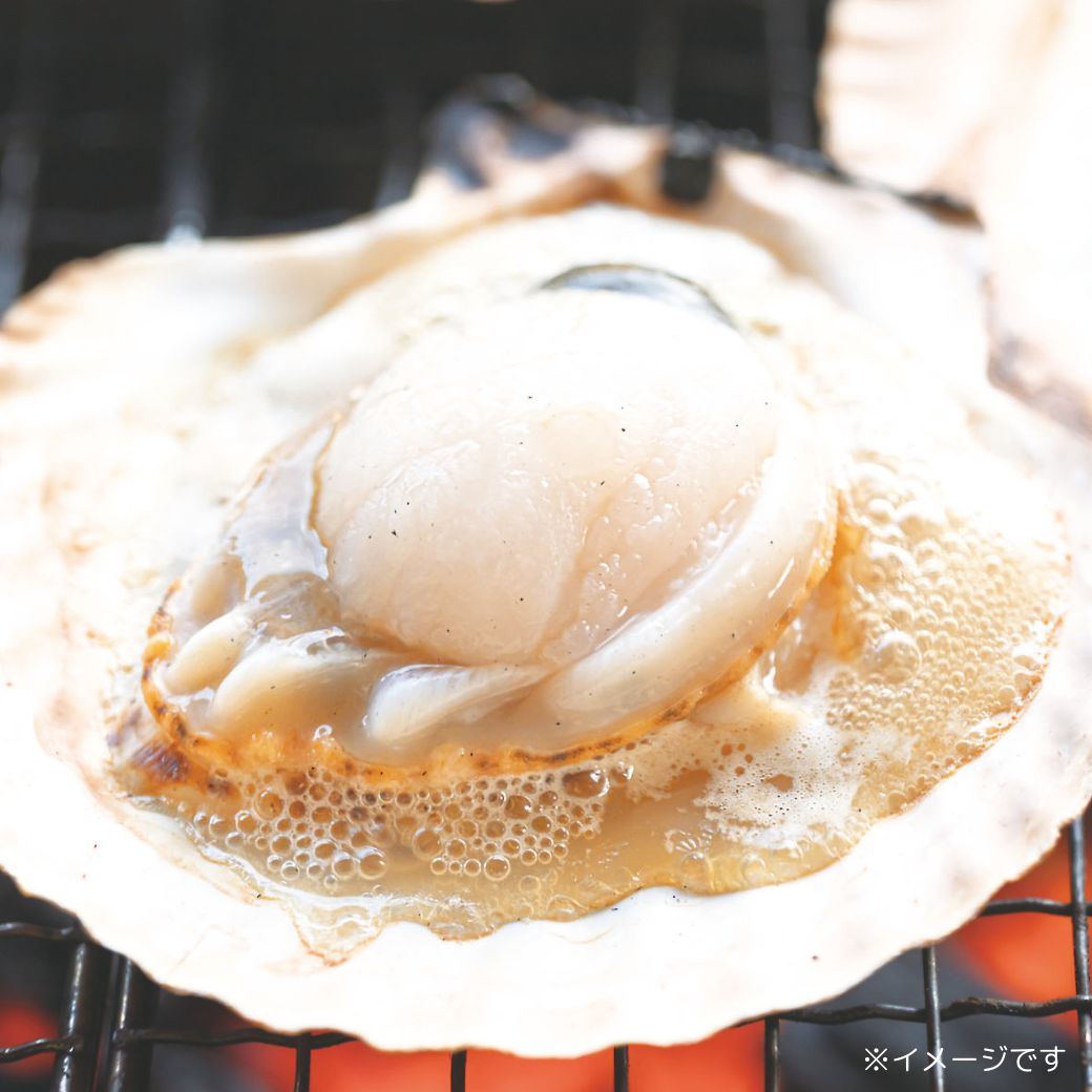 【送料込】北海道『天然 活ほたて』～濃厚な味わい・凝縮された旨み～１パック（約2kg10~14枚）セット