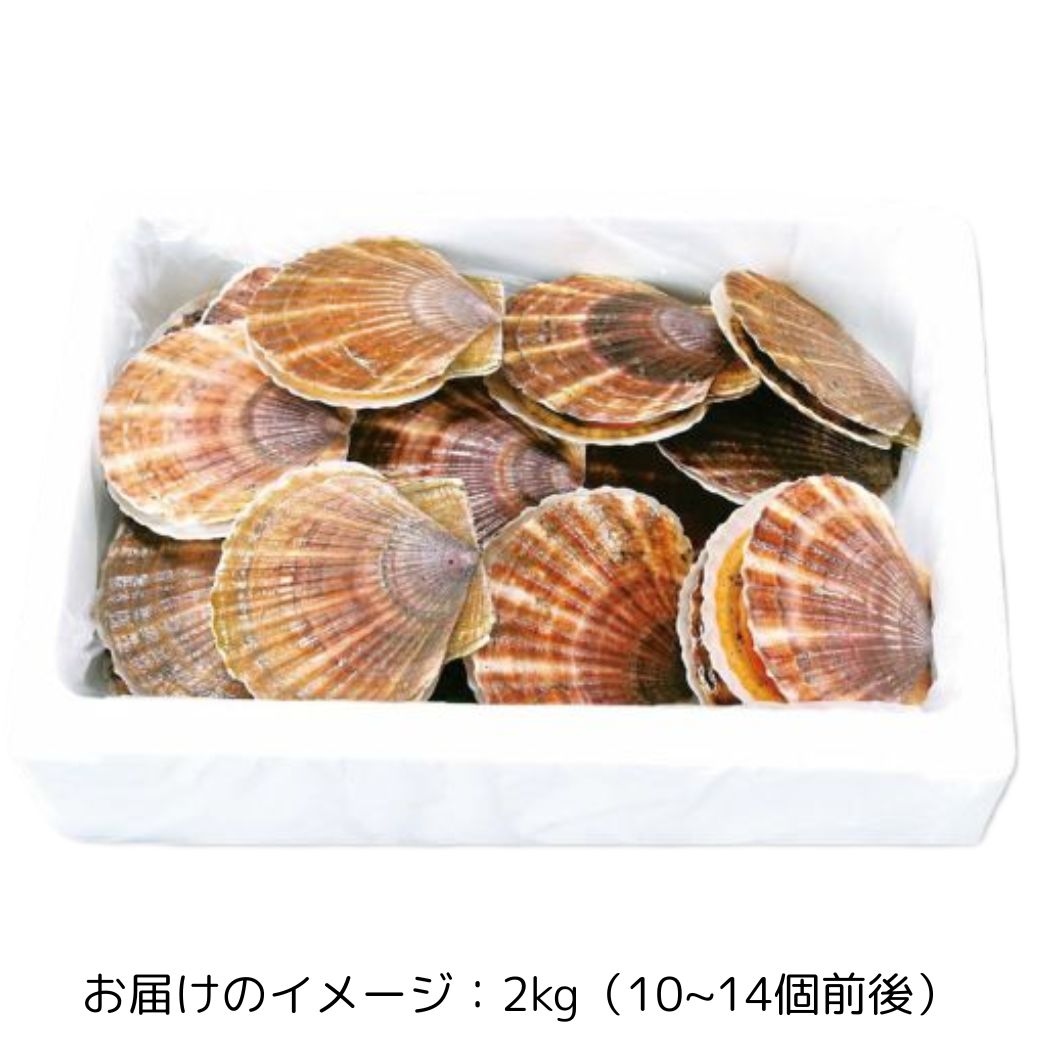 【送料込】北海道『天然 活ほたて』～濃厚な味わい・凝縮された旨み～１パック（約2kg10~14枚）セット