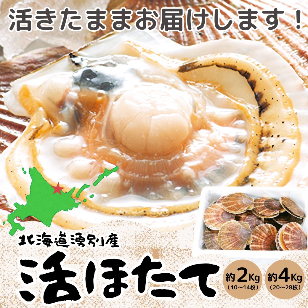【送料込】北海道『天然 活ほたて』～濃厚な味わい・凝縮された旨み～１パック（約2kg10~14枚）セット