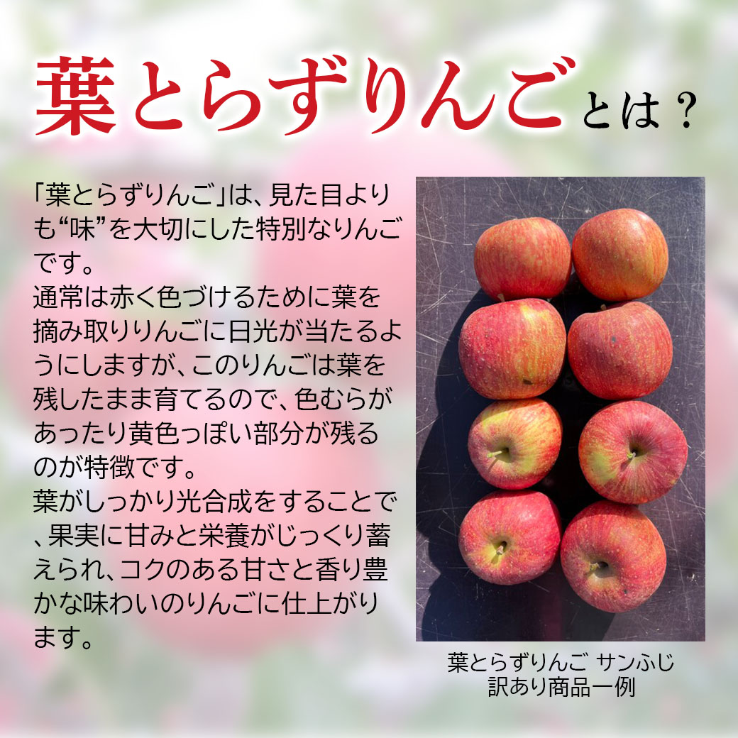 26年産・準備中＞【送料込/計400ｾｯﾄ限定】甘みたっぷり！『葉とらず