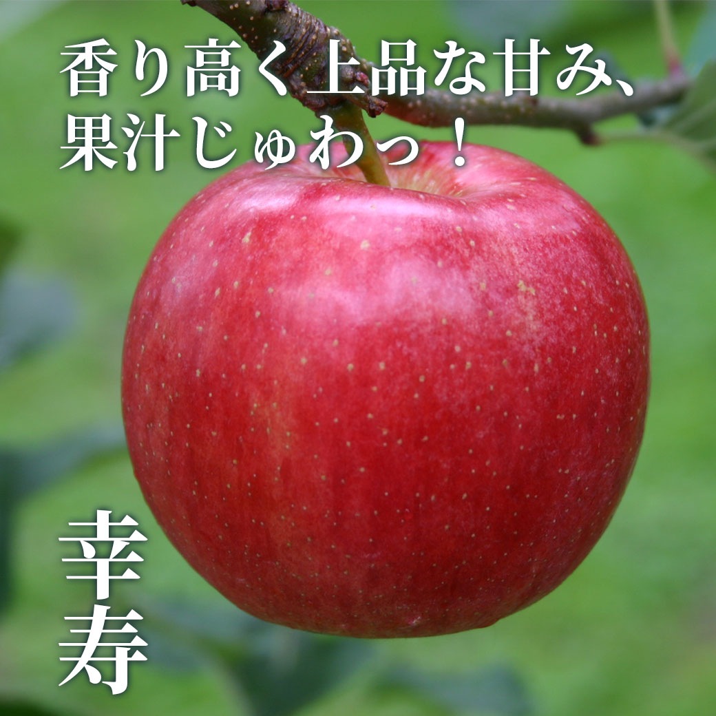 今季初りんご！青森県りんご『希少品種食べ比べセット』（つがりあんアップル3種：「黄輝」・「幸寿」・「黄明」）　限定100セット！産地直送！【贈答用：3kg、5kg】おまとめ買いがお得！（4箱までなら何箱買っても送料一律1,200円！－ただしお届け場所は同一1か所、同一kgの箱に限ります）
