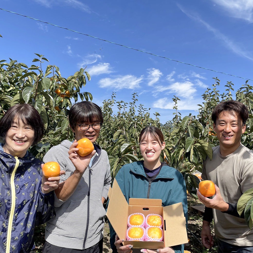送料込】『たねなし柿・大玉3Lサイズ×6個』～まごころ栽培で溢れる果汁