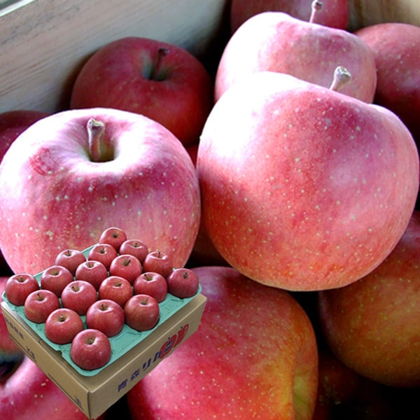 青森県りんご「サンふじ」　産地直送！【ご家庭向き：10kg】　おまとめ買いがお得！（2箱買っても送料一律1,200円！－ただしお届け場所は同一1か所、同一kgの箱に限ります）