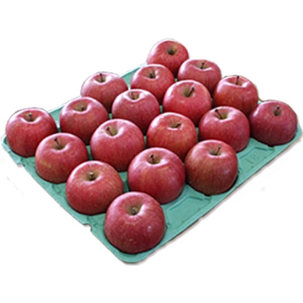 青森県りんご「サンふじ」　産地直送！【ご家庭向き：10kg】　おまとめ買いがお得！（2箱買っても送料一律1,200円！－ただしお届け場所は同一1か所、同一kgの箱に限ります）