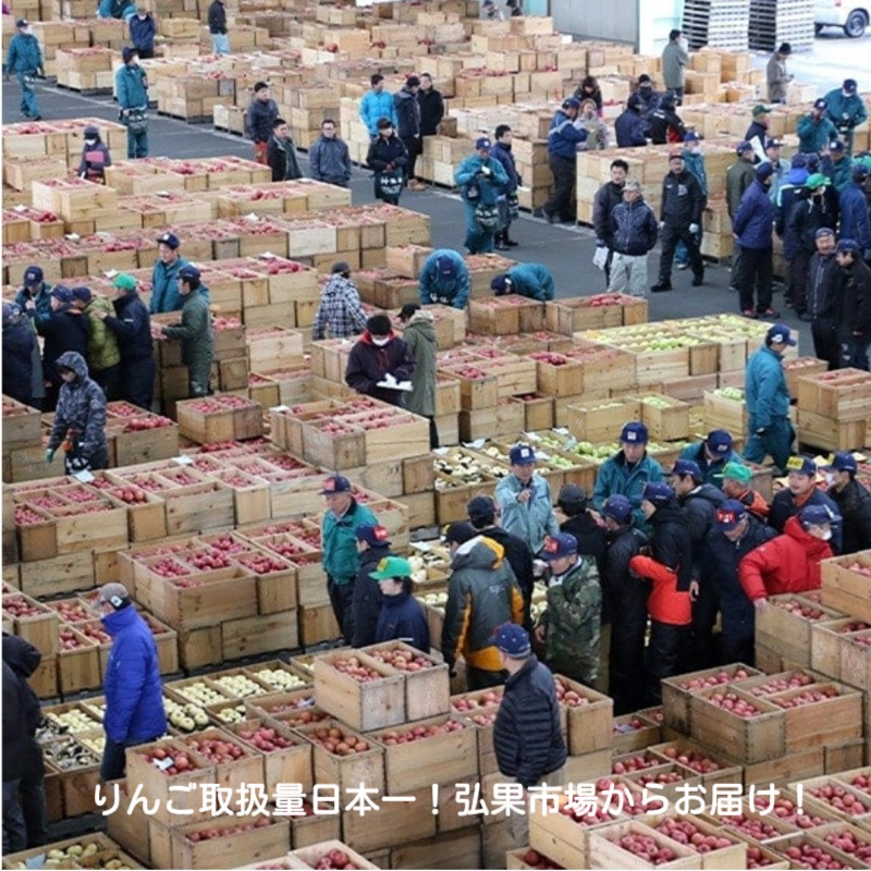 青森県りんご「サンふじ」　産地直送！【ご家庭向き：10kg】　おまとめ買いがお得！（2箱買っても送料一律1,200円！－ただしお届け場所は同一1か所、同一kgの箱に限ります）