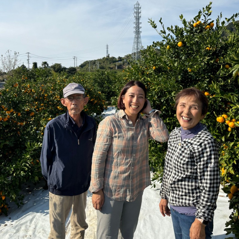 いたくら農園 テロワールみかん 果樹園直送 3kg（お試し用）/6kg