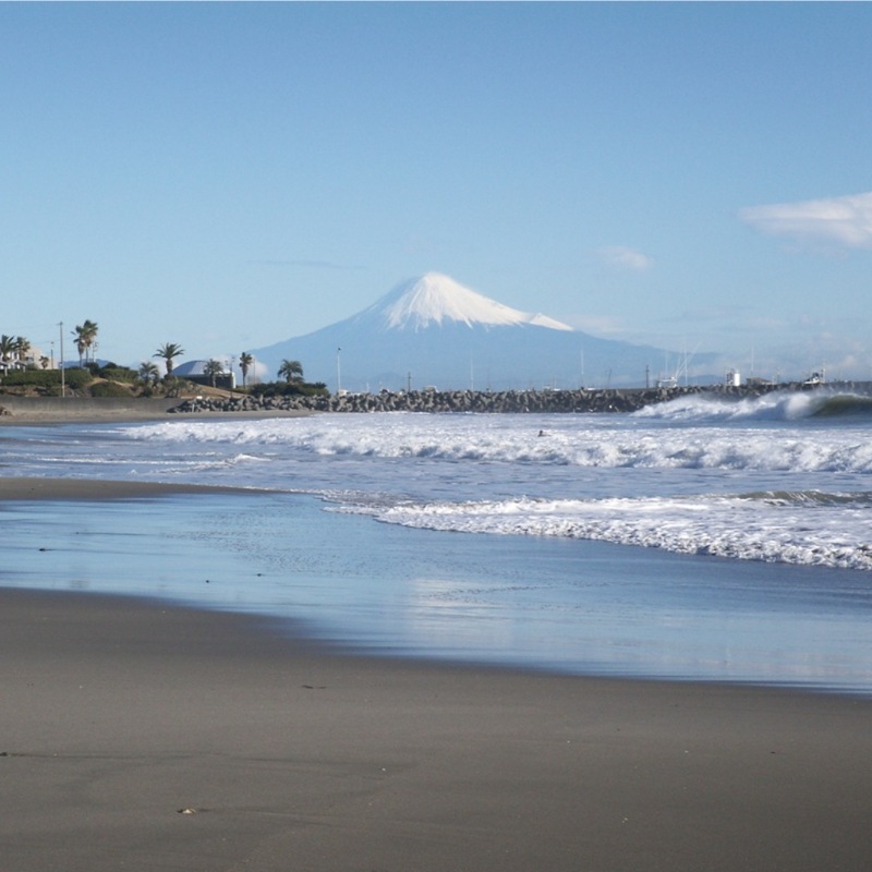いたくら農園 テロワールみかん 果樹園直送 3kg（お試し用）/6kg