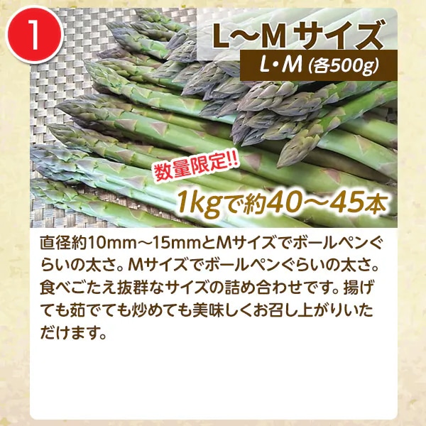 北海道アスパラ【ほりぐち農園から直送！みずみずしい朝採り収穫！】《1ｋｇセット》①L・Mサイズ3,200円、②L～Sサイズの無選別品3,000円　※送料全国一律1,400円（離島・諸島はお届けできません）