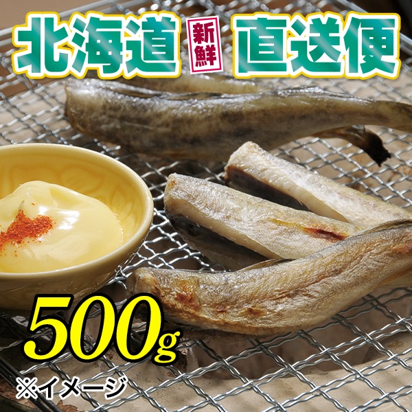 【北海道新鮮直送便】（送料はまとめ買いがお得！）氷下魚一夜干し（500g）