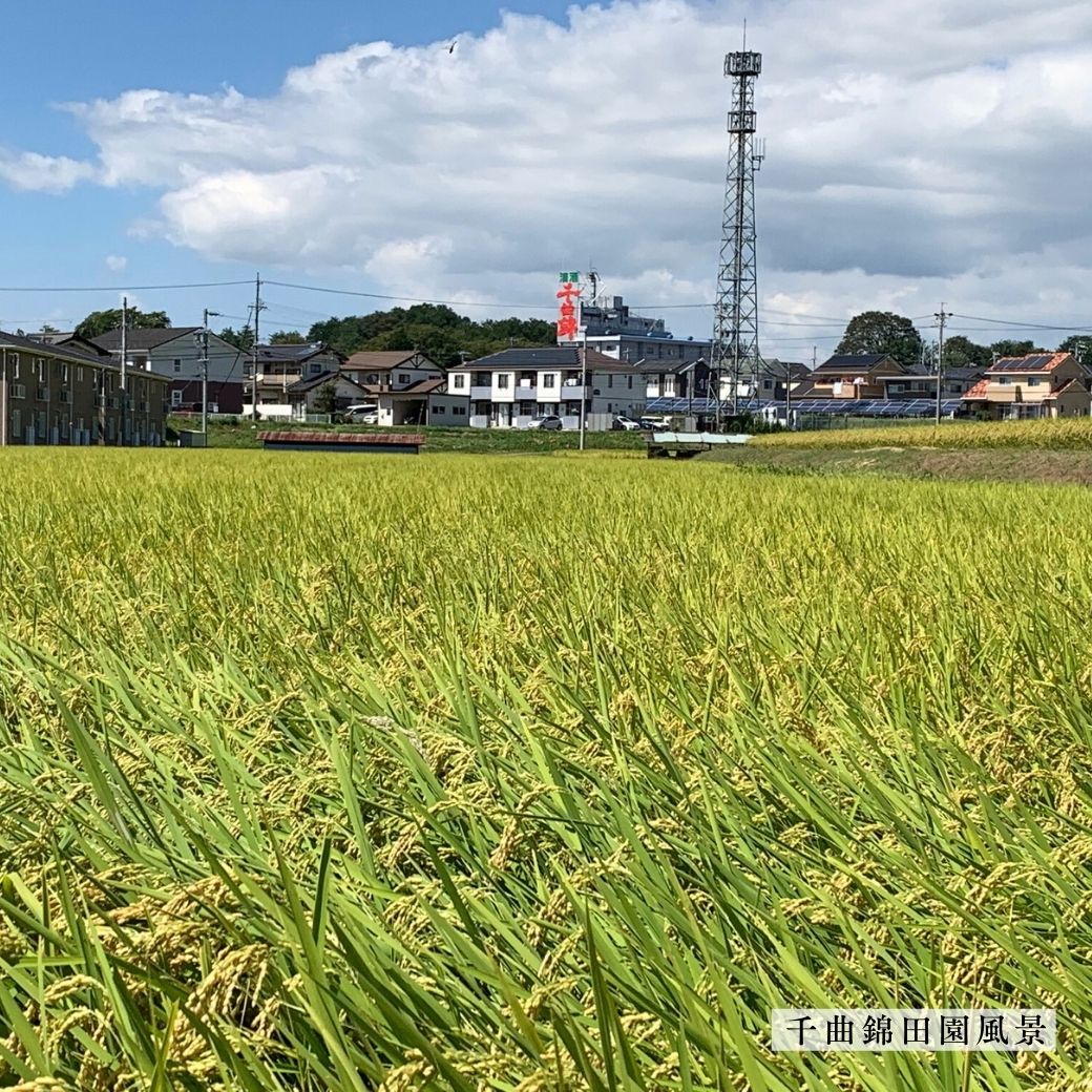 【送料込】『地酒・金の祝福セット』「吉田屋治助」金粉入大吟醸＆「千曲錦」特撰純米大吟醸 金ラベルの特別セット！≪720ml×2本≫