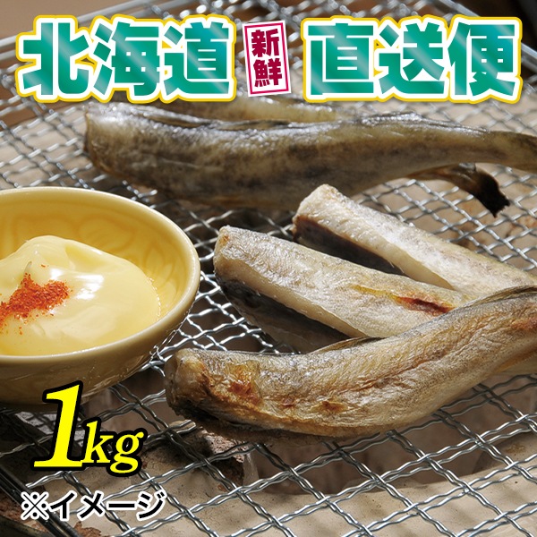 【北海道新鮮直送便】（送料はまとめ買いがお得！）氷下魚一夜干し（1kg）