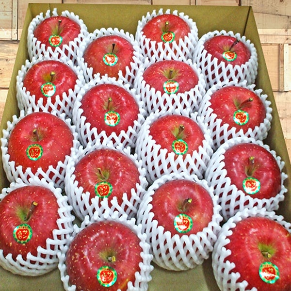 🍎☆2025年秋販売予定☆🍎青森県りんご「サンふじ」　産地直送！【ご贈答向き：10kg】　おまとめ買いがお得！（2箱買っても送料一律1,100円！－ただしお届け場所は同一1か所、同一kgの箱に限ります）