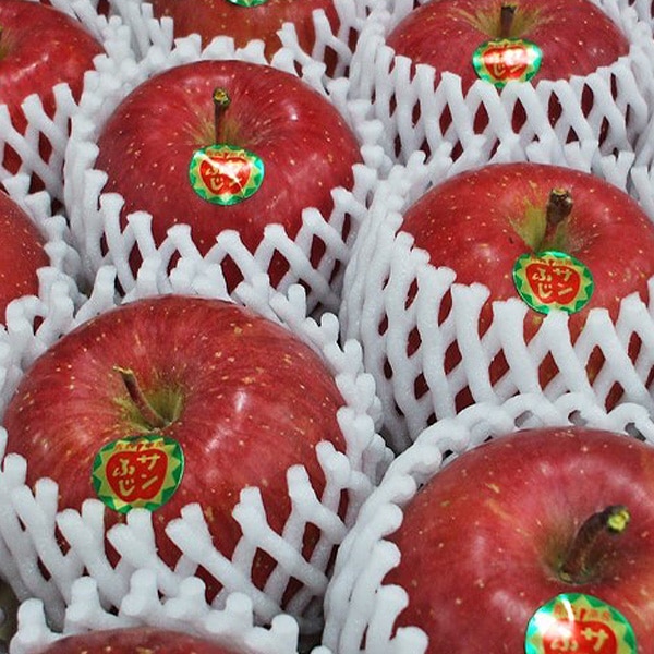 🍎☆2025年秋販売予定☆🍎青森県りんご「サンふじ」　産地直送！【ご贈答向き：10kg】　おまとめ買いがお得！（2箱買っても送料一律1,100円！－ただしお届け場所は同一1か所、同一kgの箱に限ります）
