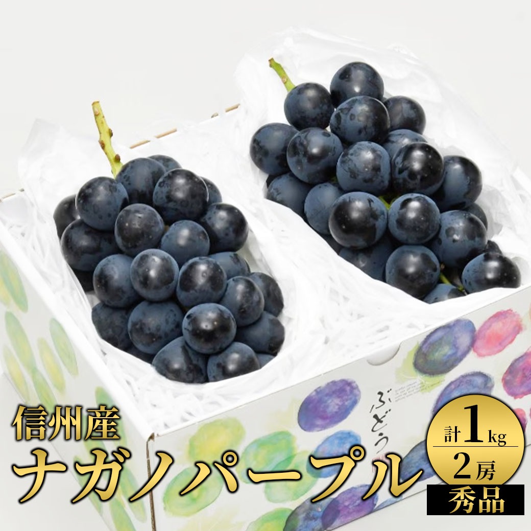 【送料込】濃厚な甘みと皮と実のパリッと感がたまらない！『信州産 ナガノパープル（秀品/２房/計１kg）』
