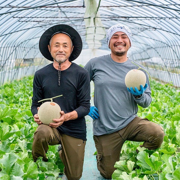 【予約販売】7月中旬より順次発送予定【送料込】北海道富良野市の山部地区からお届け【榎本農園】「こだわり農法」で作った富良野メロン　2玉で2.8㎏～3.2㎏