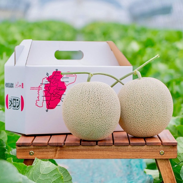 【予約販売】7月中旬より順次発送予定【送料込】北海道富良野市の山部地区からお届け【榎本農園】「こだわり農法」で作った富良野メロン　2玉で2.8㎏～3.2㎏