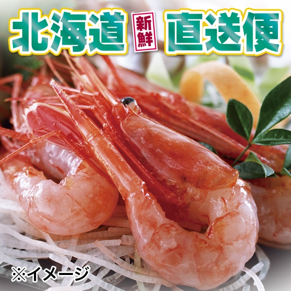 【北海道新鮮直送便】(送料はまとめ買いがお得!)甘えび(約500g)