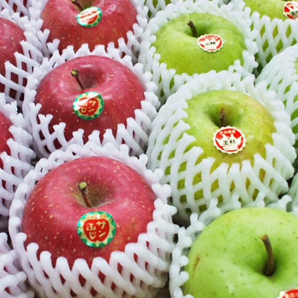 🍎☆2025年秋販売予定☆🍎青森県りんご　人気の2品種！詰合せ　「サンふじ・王林」　産地直送！【ご贈答向き：10kg】　おまとめ買いがお得！（2箱買っても送料一律1,100円！－ただしお届け場所は同一1か所、同一kgの箱に限ります）