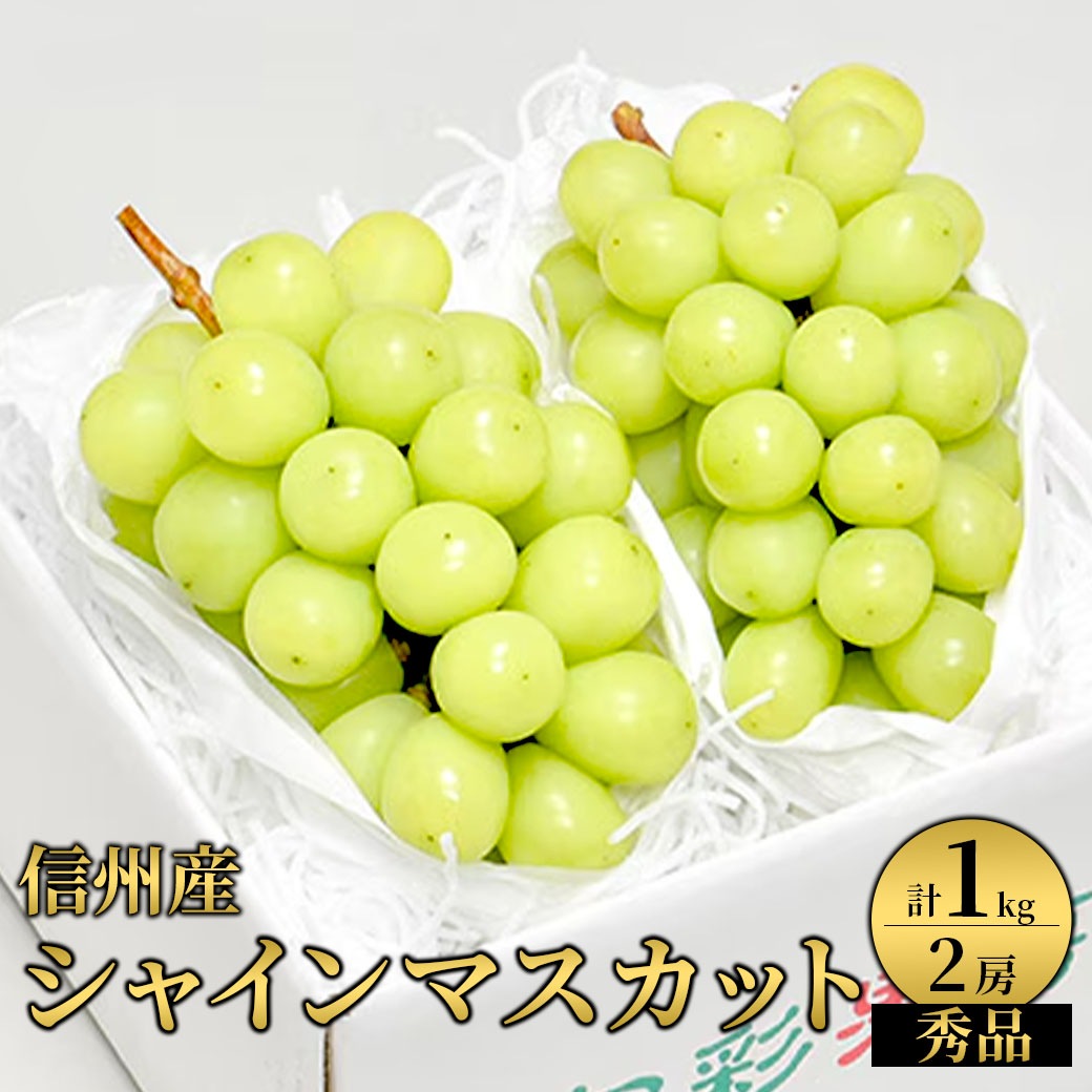 【送料込】果汁たっぷり！芳醇な香りがたまらない！『信州産 シャインマスカット（秀品/２房/計１kg）』