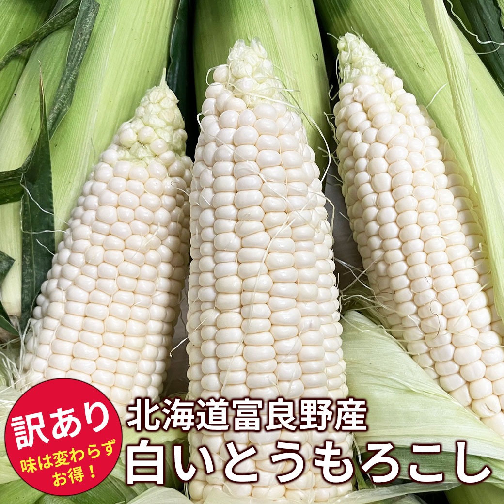≪食品ロス削減企画≫味は変わらずお得な『訳あり・白いとうもろこし 』10本入り(約4～5kg)・20本入り(約8kg以上）