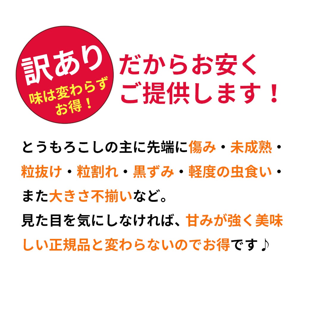 ≪食品ロス削減企画≫味は変わらずお得な『訳あり・白いとうもろこし 』10本入り(約4～5kg)・20本入り(約8kg以上）