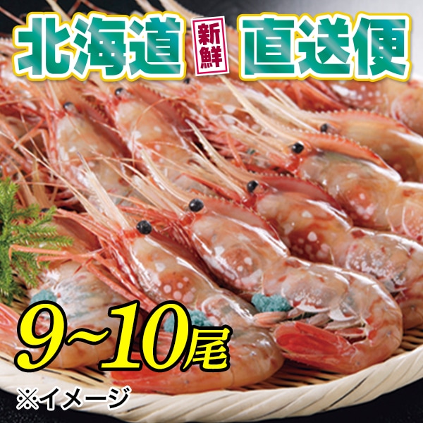 【北海道新鮮直送便】(送料はまとめ買いがお得!)特大北海ぼたん海老(刺身用/9~10尾)