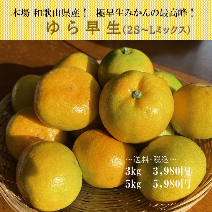 【送料込】和歌山から大人気！極早生みかんの王様！「ゆら早生」3kg/5kgセット