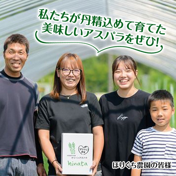 希少サイズあり！北海道アスパラ【ほりぐち農園から直送！みずみずしい朝採り収穫！】《1ｋｇセット》①3L・2Lサイズ（太さ500円玉サイズ）4,000円、②2L・Lサイズ（太さ100円玉サイズ）3,700円、③L・Mサイズ3,200円、④L～Sサイズの無選別品3,000円　※送料全国一律1,400円（離島・諸島はお届けできません）