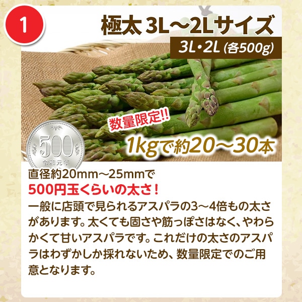 希少サイズあり！北海道アスパラ【ほりぐち農園から直送！みずみずしい朝採り収穫！】《1ｋｇセット》①3L・2Lサイズ（太さ500円玉サイズ）4,000円、②2L・Lサイズ（太さ100円玉サイズ）3,700円、③L・Mサイズ3,200円、④L～Sサイズの無選別品3,000円　※送料全国一律1,400円（離島・諸島はお届けできません）