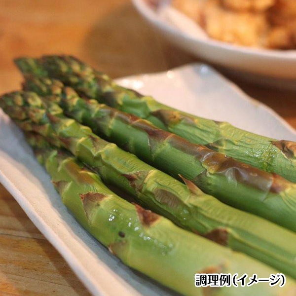 希少サイズあり！北海道アスパラ【ほりぐち農園から直送！みずみずしい朝採り収穫！】《1ｋｇセット》①3L・2Lサイズ（太さ500円玉サイズ）4,000円、②2L・Lサイズ（太さ100円玉サイズ）3,700円、③L・Mサイズ3,200円、④L～Sサイズの無選別品3,000円　※送料全国一律1,400円（離島・諸島はお届けできません）