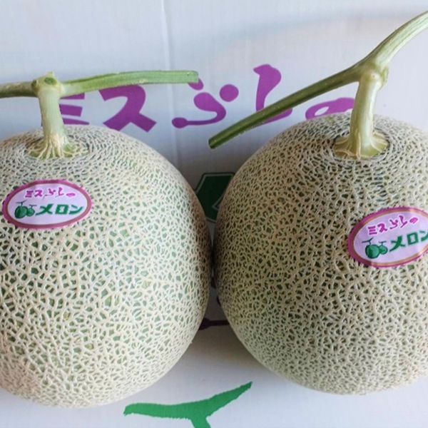 【予約販売】7月中旬から順次発送予定　吉中さんの富良野メロン・北海道富良野市の山部地区より直送（2kg以上4玉／1.6kg以上5玉）