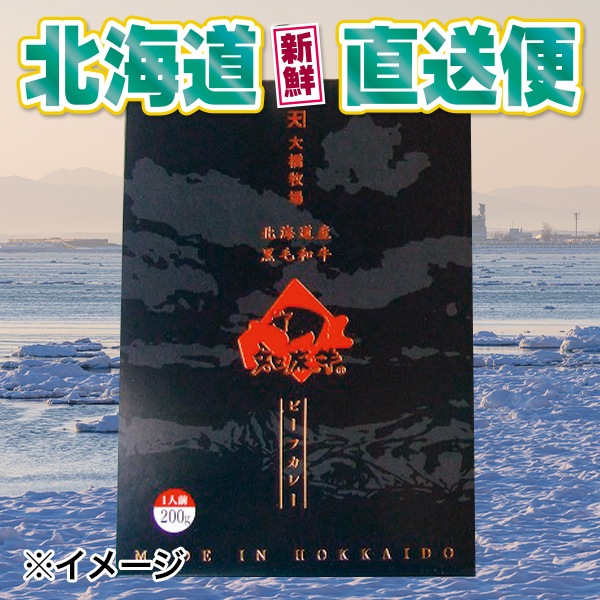 【北海道新鮮直送便】（送料はまとめ買いがお得！）知床ビーフカレー（200g／1箱）