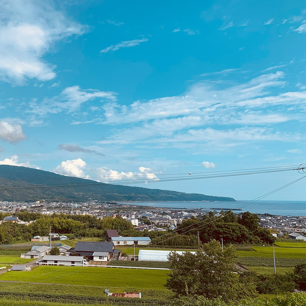 【送料込】新鮮！藁焼き感がたまらない「土佐のわら焼き“生”鰹たたき」2節セット