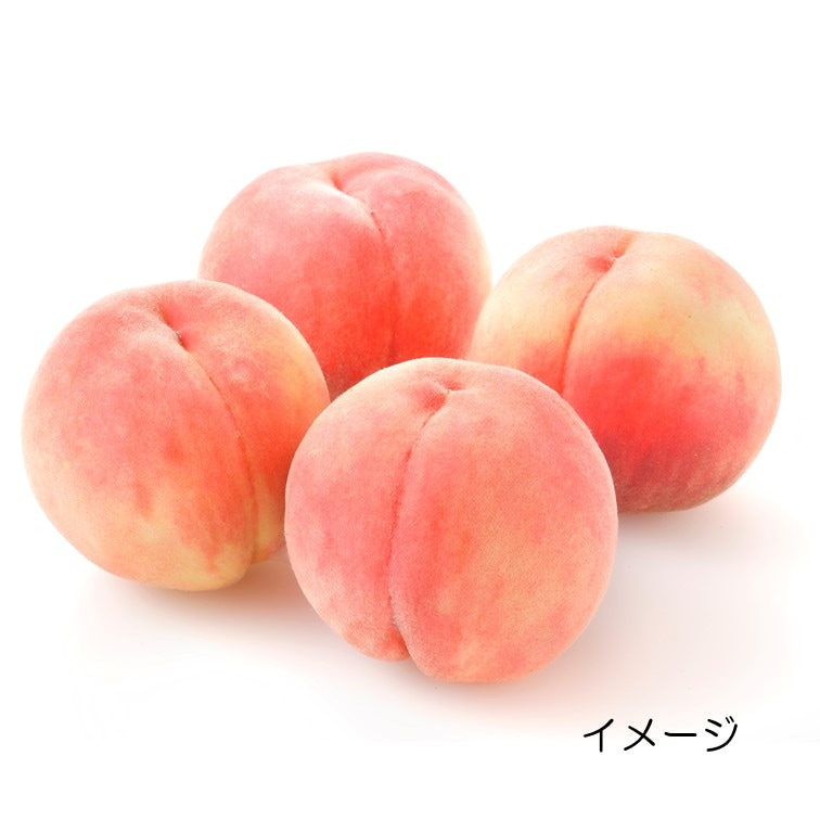 【送料込】信州産 しっかりとした食感が楽しめる川中島白桃ととろける食感・ジューシーな甘さの黄金桃セット（2.5kg/3.5kg）