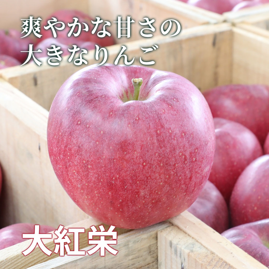 【予約販売】100セット限定！『希少！生産限定品種：つがりあんアップル3種（津軽ゴールド・大紅栄・黄金ふじ）食べ比べセット【贈答用：3kg、5kg】』ホップス初登場品種です！おまとめ買いなら送料がお得！
